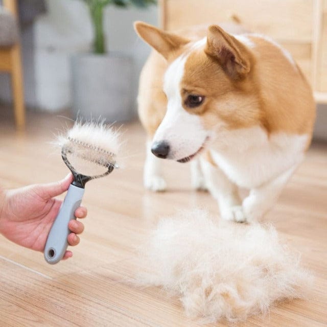 Gadgets d'Eve ™ : Brosse de Toilettage pour Animaux de Compagnie
